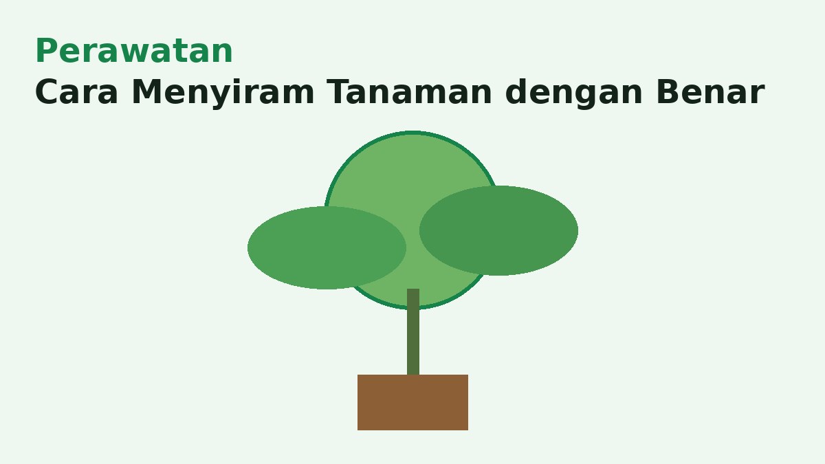 Cara Menyiram Tanaman Buah dengan Benar