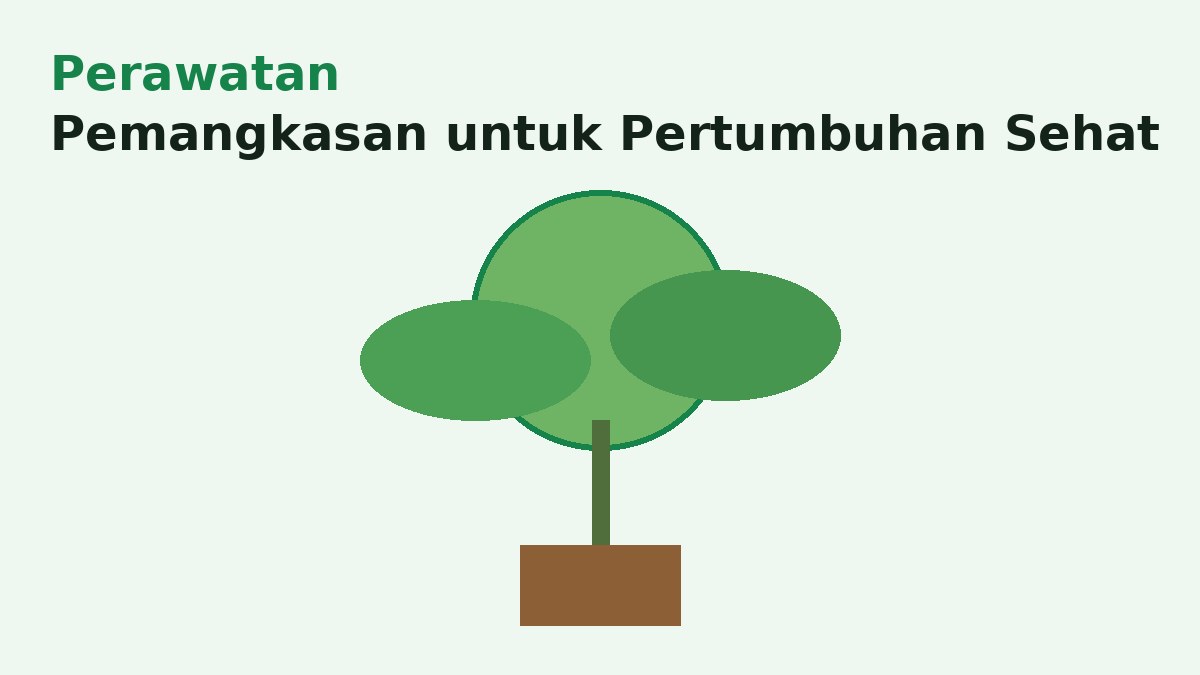 Pemangkasan untuk Membantu Pertumbuhan Tanaman