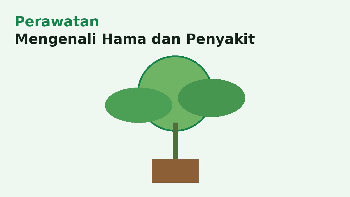 Cara Mengenali Hama dan Penyakit pada Tanaman