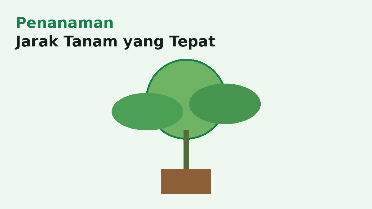 Menentukan Jarak Tanam yang Tepat