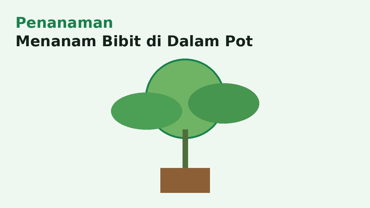 Cara Menanam Bibit Buah di Dalam Pot