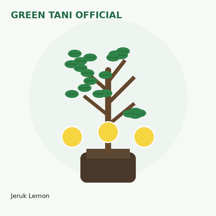 Bibit Jeruk Lemon