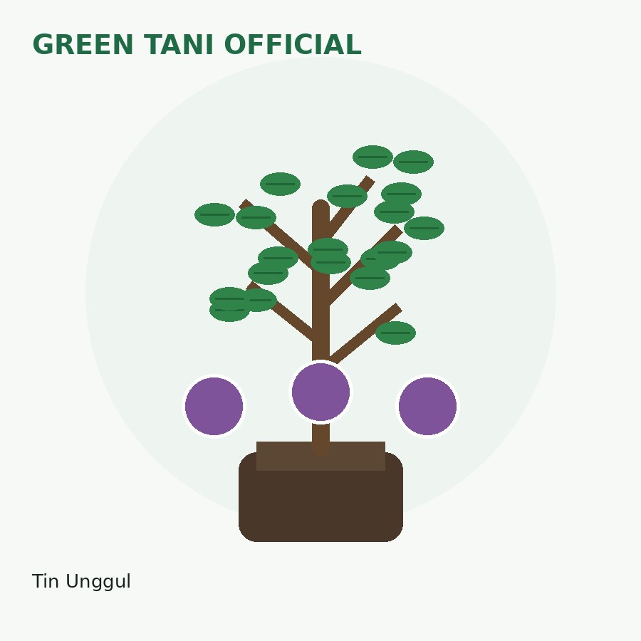 Bibit Tin Unggul
